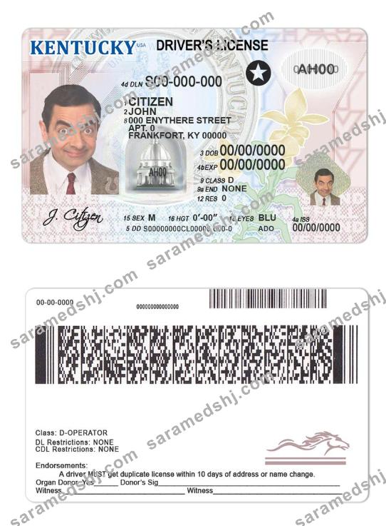 USA Kentucky driving license